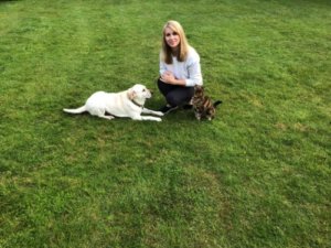 Exercise & enrichment - boredom busters - Hanne Grice Pet Training